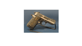 SIG SAUER P938 Equinox 9MM LUGER (9x19 PARA) - 2 of 3