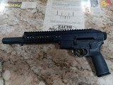 PATRIOT ORDNANCE FACTORY (POF) P-SG 22 .22 LR - 2 of 3