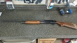 REVELATION r310ab 12 GA