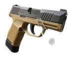 SIG SAUER P365 9MM LUGER (9X19 PARA) - 3 of 3