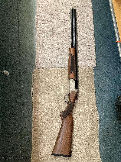CHIAPPA FIREARMS model 202 12 GA