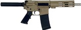 GREAT LAKES FIREARMS GL-15 .223 WYLDE