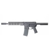 PALMETTO STATE ARMORY M4 CARBINE .300 AAC BLACKOUT