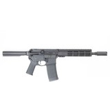 PALMETTO STATE ARMORY M4 CARBINE .300 AAC BLACKOUT - 2 of 2