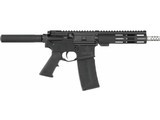 GREAT LAKES FIREARMS AR 15 .223 WYLDE