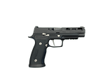 SIG SAUER P320 AXG PRO 9MM LUGER (9x19 PARA) - 1 of 2