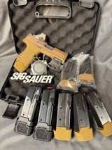 SIG SAUER P365 9MM LUGER (9x19 PARA)