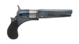 COLT COPY OF COLT PATERSON PEARSON PROTOTYPE 20 CAL (.204) - 3 of 3