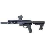 PATRIOT ORDNANCE FACTORY (POF) P-SG 22 .22 LR