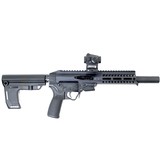 PATRIOT ORDNANCE FACTORY (POF) P-SG 22 .22 LR - 2 of 2