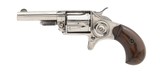 COLT NEW LINE .30 - 3 of 3