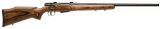 SAVAGE ARMS 25 LIGHTWEIGHT VARMINT .223 REM - 1 of 1