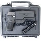 SIG SAUER P250 COMPACT MEDIUM .40 S&W - 3 of 3