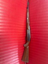 REMINGTON Nylon 66 .22 LR