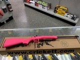 KEYSTONE SPORTING ARMS CRICKETT SYNTHETIC SINGLE SHOT .22 LR - 3 of 3