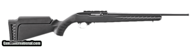 RUGER 10/22 CARBINE
.22 LR