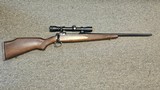 SAVAGE ARMS 110 CLASSIC .30-06 SPRG - 1 of 1
