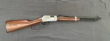 HENRY H001TER .22 LR