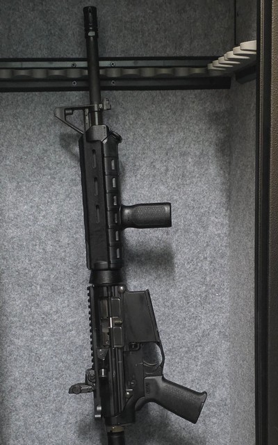 BUSHMASTER BR-308 .308 WIN
