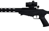 RUGER Precision .22 LR - 3 of 3