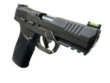 SIG SAUER P322 .22 LR - 3 of 3