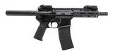TIPPMANN ARMS M4-22 .22 LR - 1 of 3