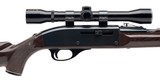 REMINGTON NYLON 66 .22 LR - 2 of 3