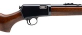 WINCHESTER MODEL 63 .22 LR - 2 of 3