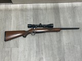 RUGER M77 HAWKEYE COMPACT .243 WIN