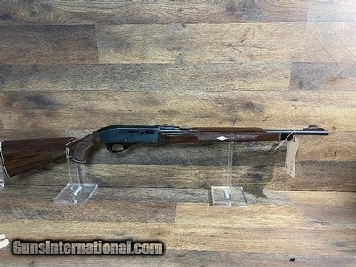 REMINGTON nylon 66 .22 LR