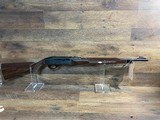 REMINGTON nylon 66 .22 LR - 1 of 3