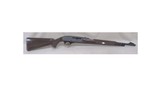 REMINGTON Nylon 66 .22 LR - 1 of 3