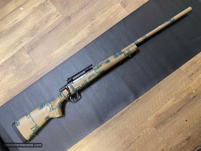 CZ 308 WIN 550 CUSTOM CERAKOTE PAINT JOB .308 WIN