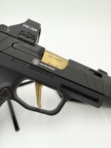 SIG SAUER P365 9MM LUGER (9x19 PARA) - 3 of 3