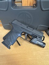 SIG SAUER P365 OR 9MM LUGER (9x19 PARA) - 2 of 3