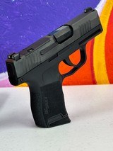 SIG SAUER P365 .380 ACP - 3 of 3