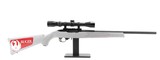 RUGER 10/22 .22 LR - 2 of 3