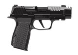 SIG SAUER P365 LUXE - 1 of 3