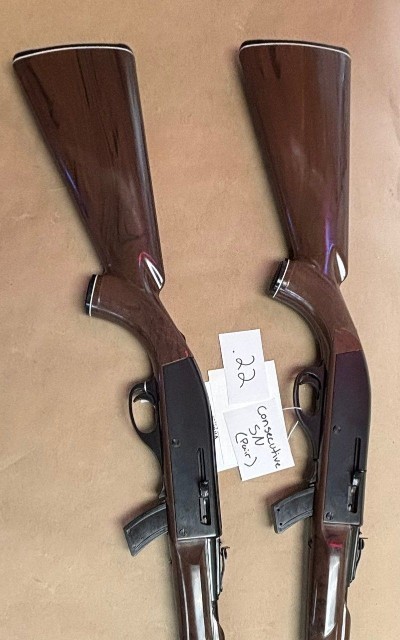 REMINGTON Nylon 10C .22 LR