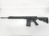 DPMS DPMS/BCA AR-10 w/Range Bag, Magazine .243 WIN - 1 of 3
