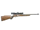 SAVAGE ARMS B17 .17 HMR - 1 of 3