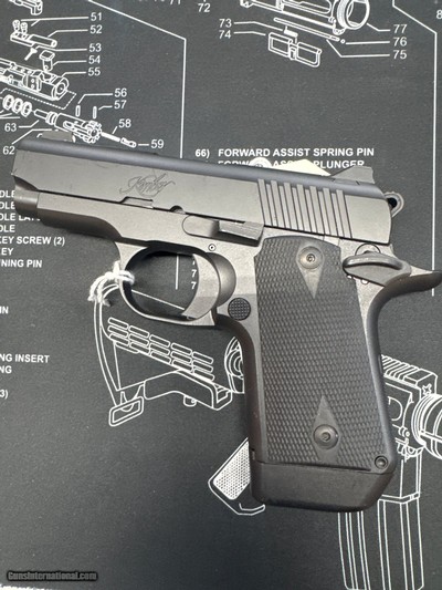 KIMBER Micro 9 9MM LUGER (9x19 PARA)