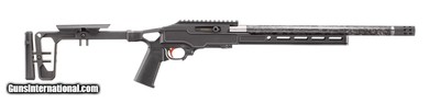 RUGER 10/22 Competition .22 LR