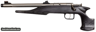 CHIPMUNK HUNTER .22 LR