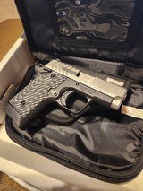 SPRINGFIELD ARMORY 911 .380 ACP - 3 of 3