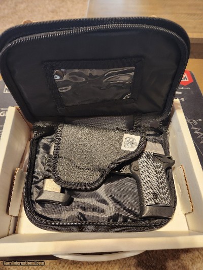 SPRINGFIELD ARMORY 911 .380 ACP