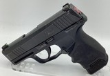 SIG SAUER P365 9MM LUGER (9x19 PARA) - 1 of 3