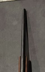 CZ 557 .243 WIN - 3 of 3