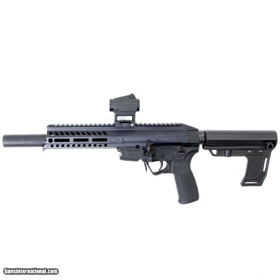 PATRIOT ORDNANCE FACTORY (POF) P-SG 22 .22 LR