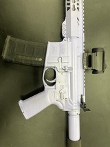 PALMETTO STATE ARMORY PA-15 5.56X45MM NATO - 3 of 3